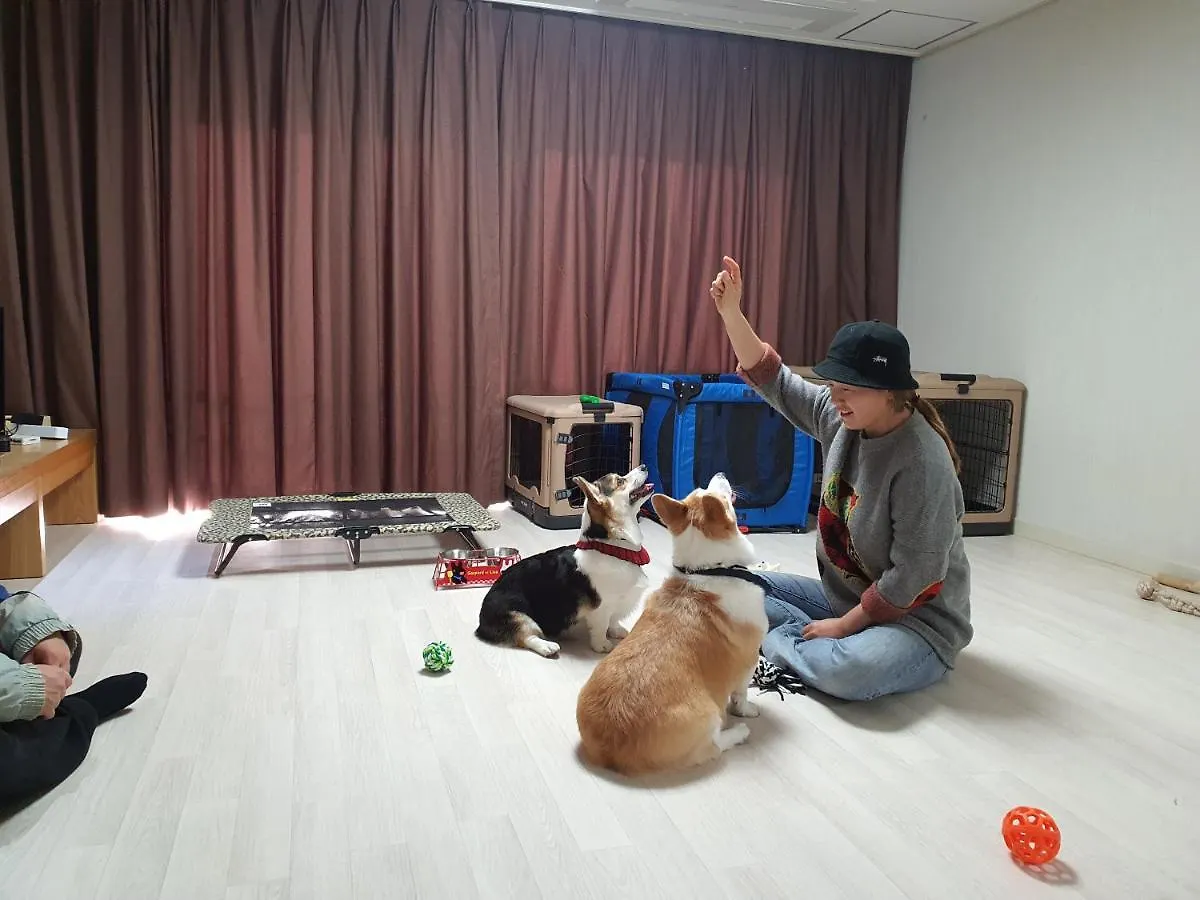 Hi Jeju Hotel