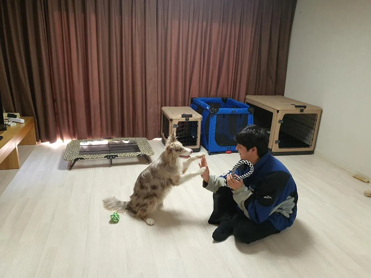 Hi Jeju Hotel